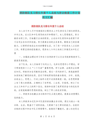 消防部队见习排长年度个人总结与涉企检查工作计划范文汇编