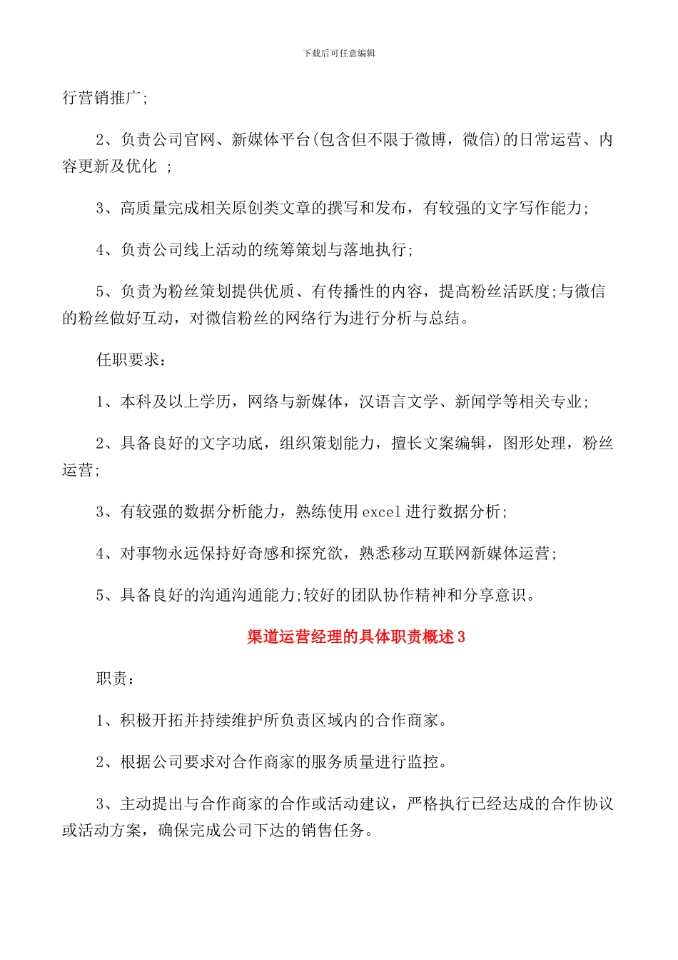 渠道运营经理的具体职责概述_第2页