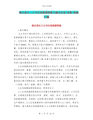 湖北某化工公司应急救援预案与溺水应急措施汇编