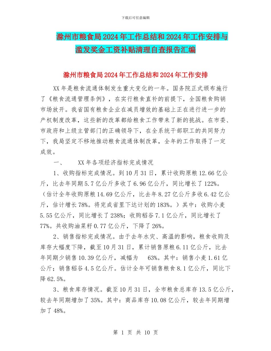 滁州市粮食局2024年工作总结和2024年工作安排与滥发奖金工资补贴清理自查报告汇编_第1页