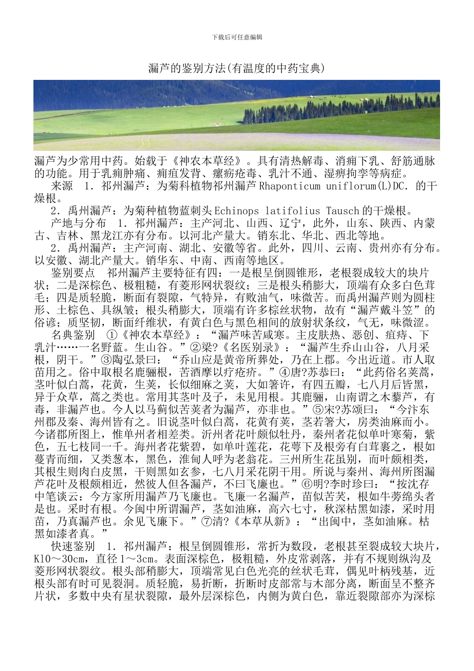 漏芦的鉴别方法_第1页