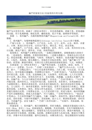 漏芦的鉴别方法