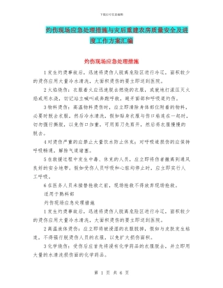 灼伤现场应急处理措施与灾后重建农房质量安全及进度工作方案汇编