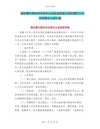 烟花爆竹燃放突发事件应急救援预案与烟花爆竹行业经营整治方案汇编