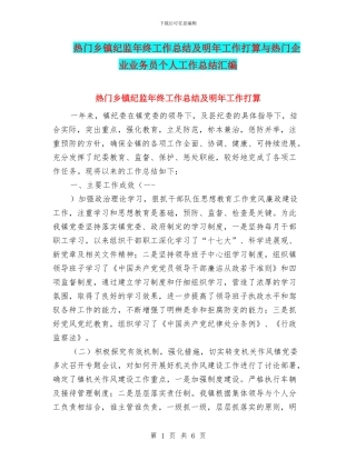 热门乡镇纪监年终工作总结及明年工作打算与热门企业业务员个人工作总结汇编