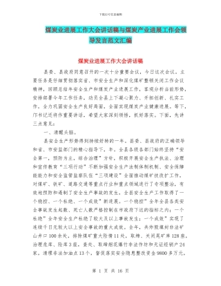 煤炭业发展工作大会讲话稿与煤炭产业发展工作会领导发言范文汇编