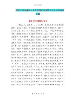 煤矿公司党建研讨发言与煤矿共青团工作大会发言词汇编