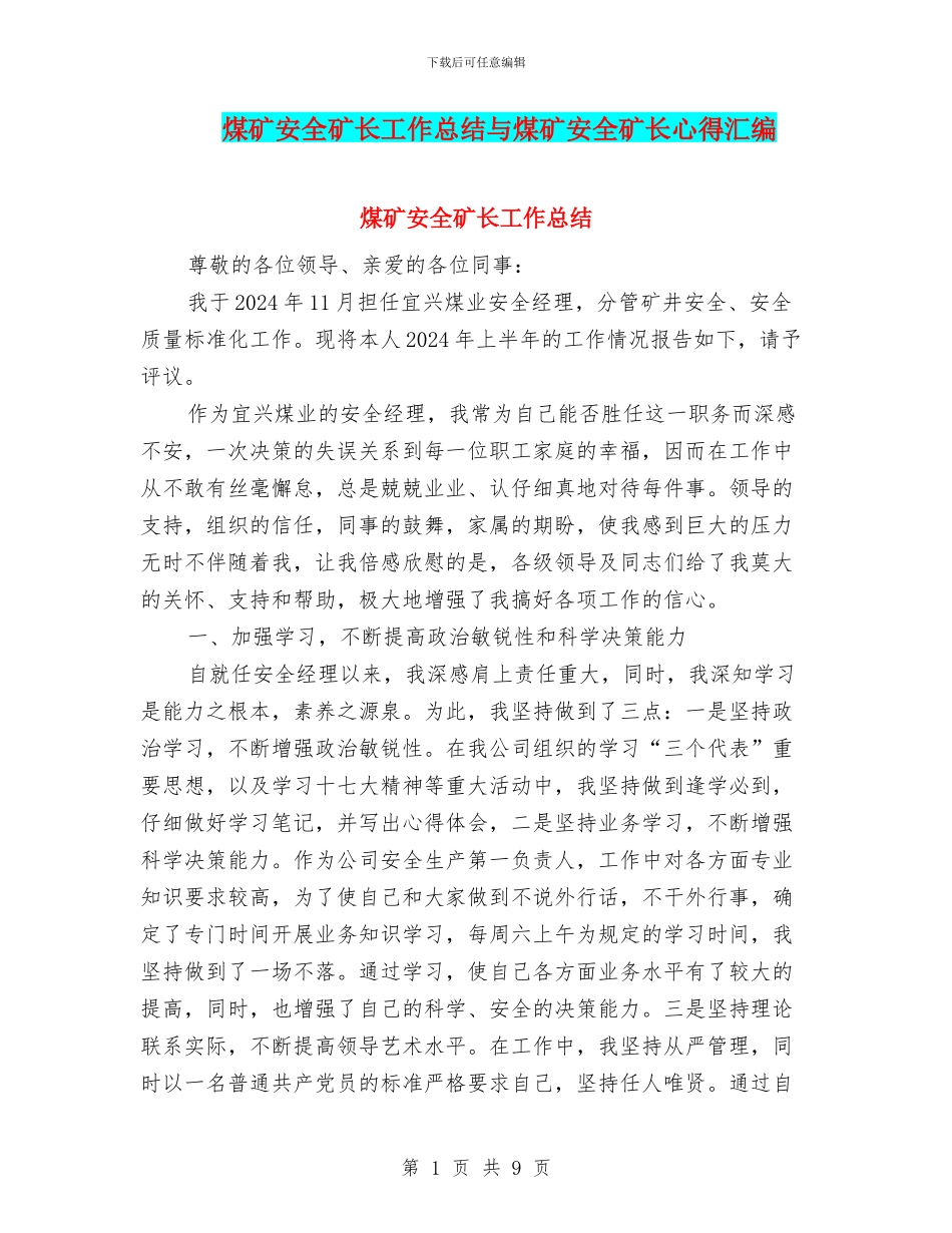 煤矿安全矿长工作总结与煤矿安全矿长心得汇编_第1页