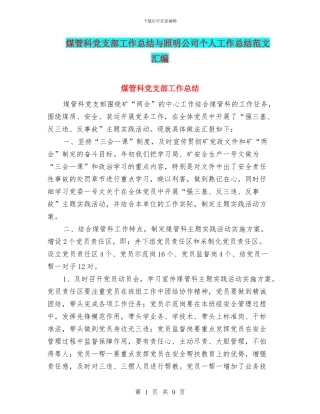煤管科党支部工作总结与照明公司个人工作总结范文汇编