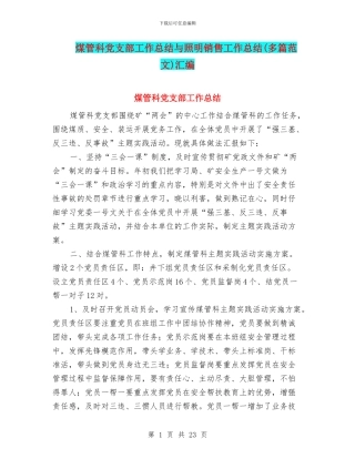 煤管科党支部工作总结与照明销售工作总结汇编