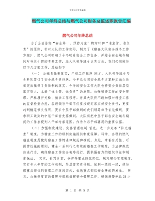 燃气公司年终总结与燃气公司财务总监述职报告汇编
