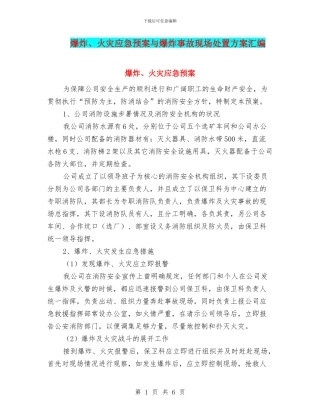 爆炸、火灾应急预案与爆炸事故现场处置方案汇编