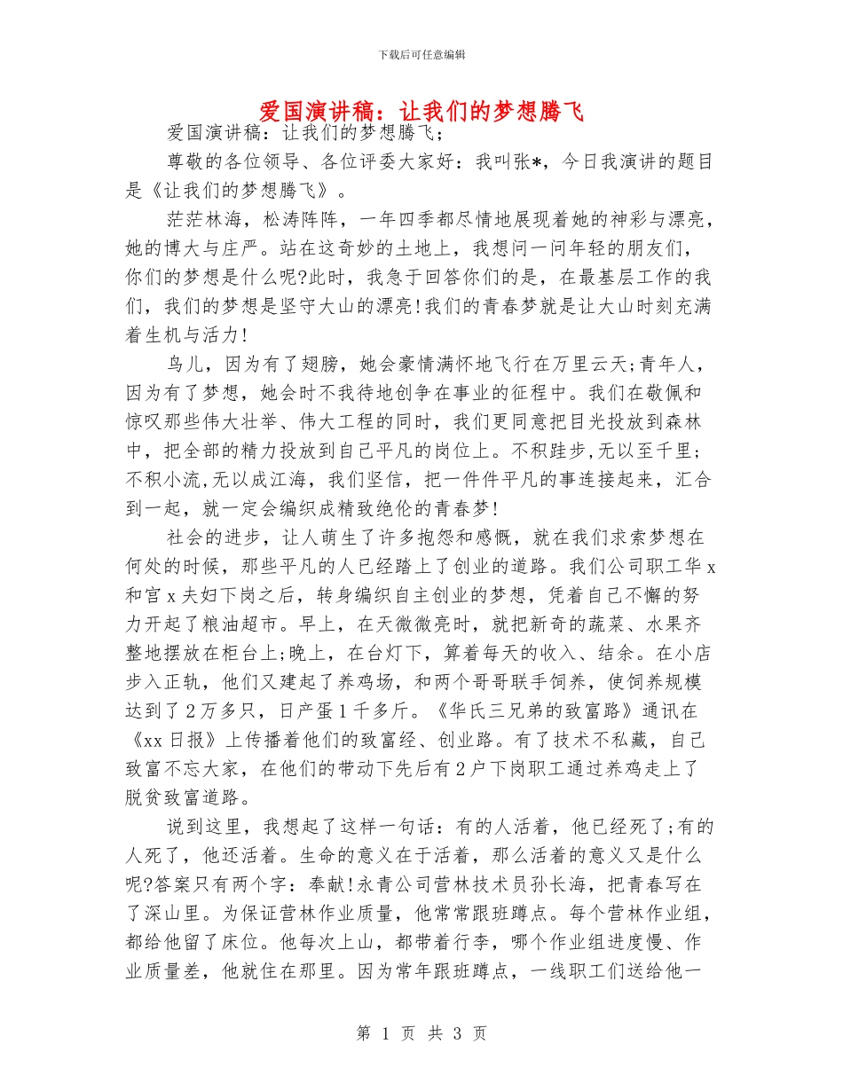 爱国演讲稿：让我们的梦想腾飞_第1页
