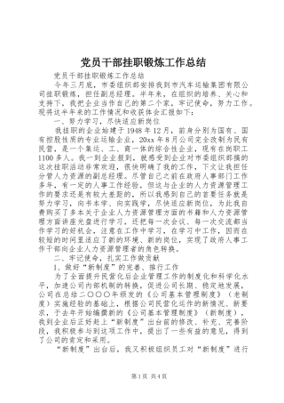 党员干部挂职锻炼工作总结_1