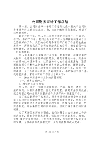 公司财务审计工作总结