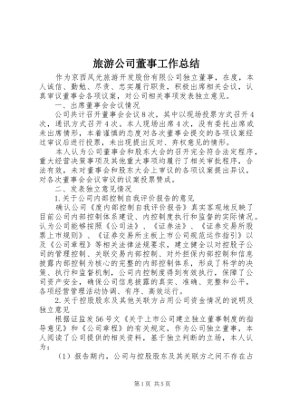 旅游公司董事工作总结