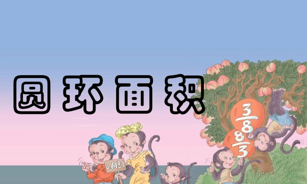 圆环的面积开放日