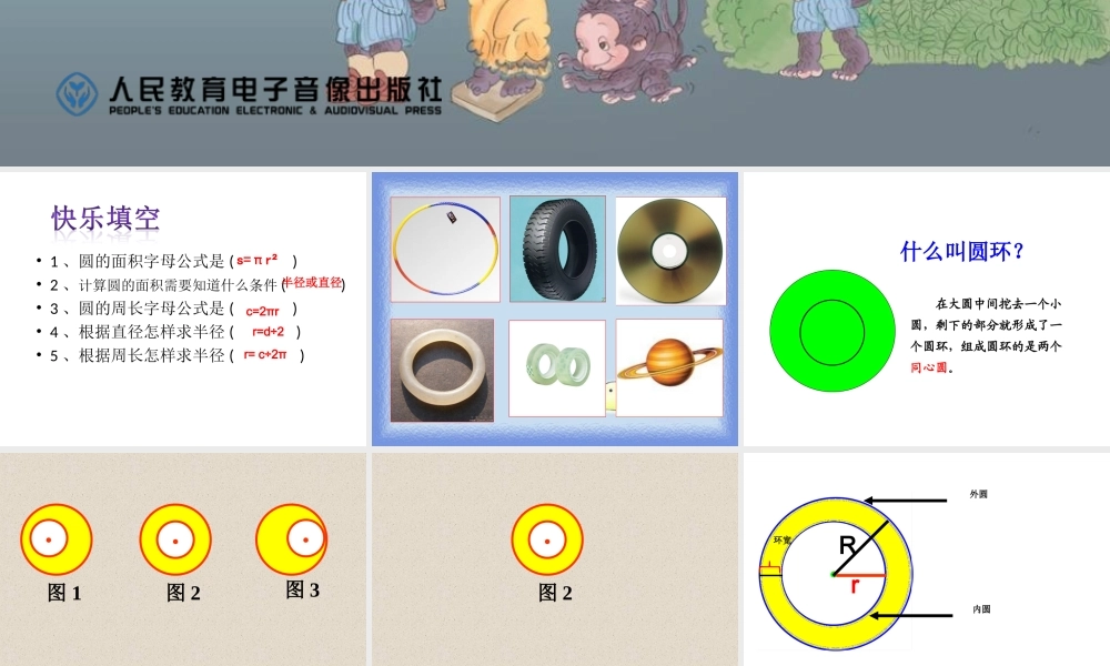 圆环的面积开放日