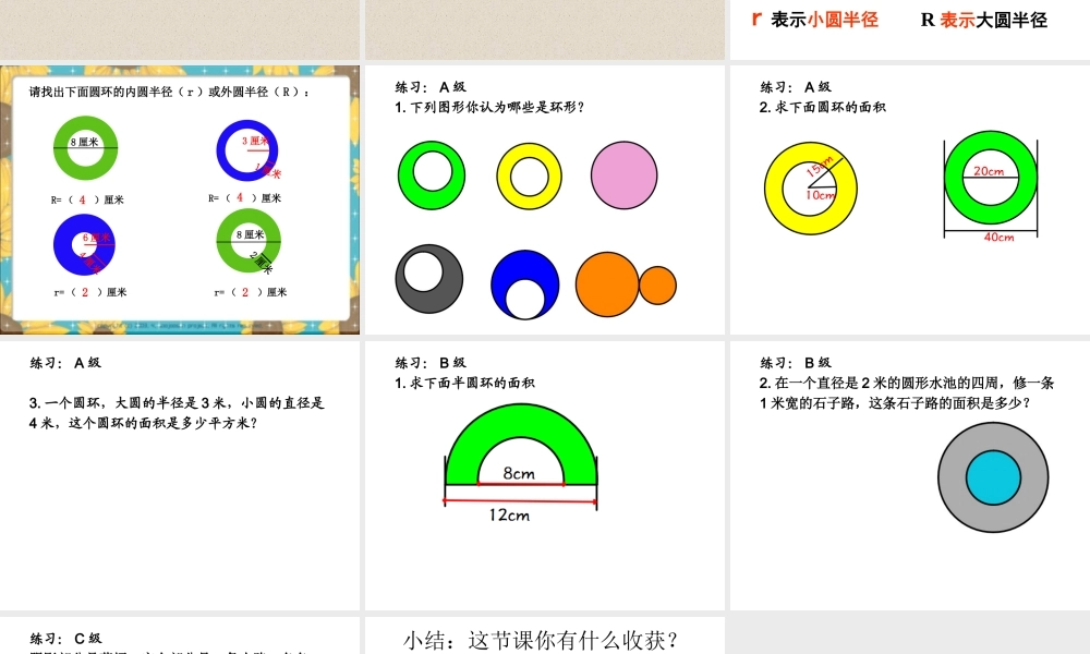 圆环的面积开放日