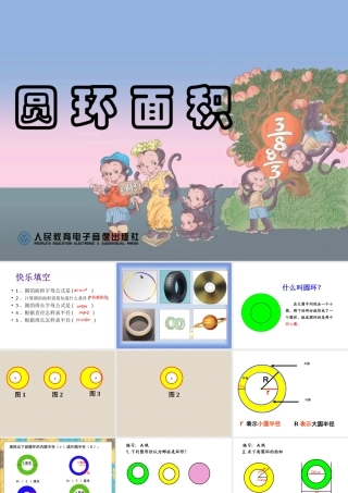 圆环的面积开放日