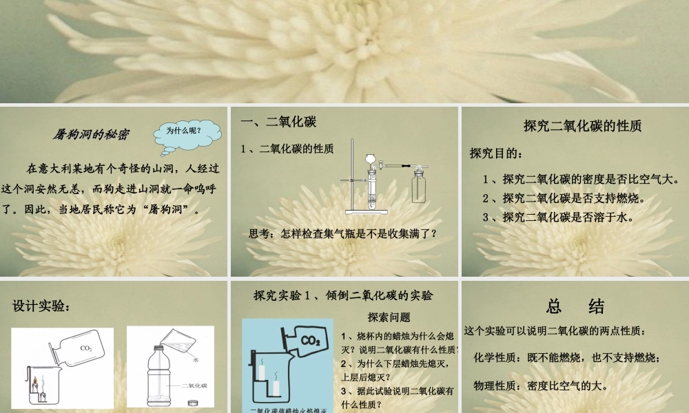二氧化碳和一氧化碳（1）