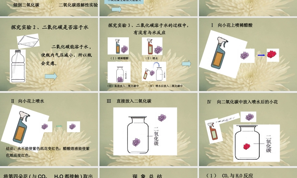 二氧化碳和一氧化碳（1）