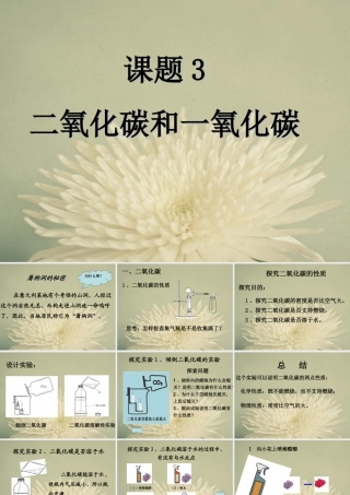 二氧化碳和一氧化碳（1）