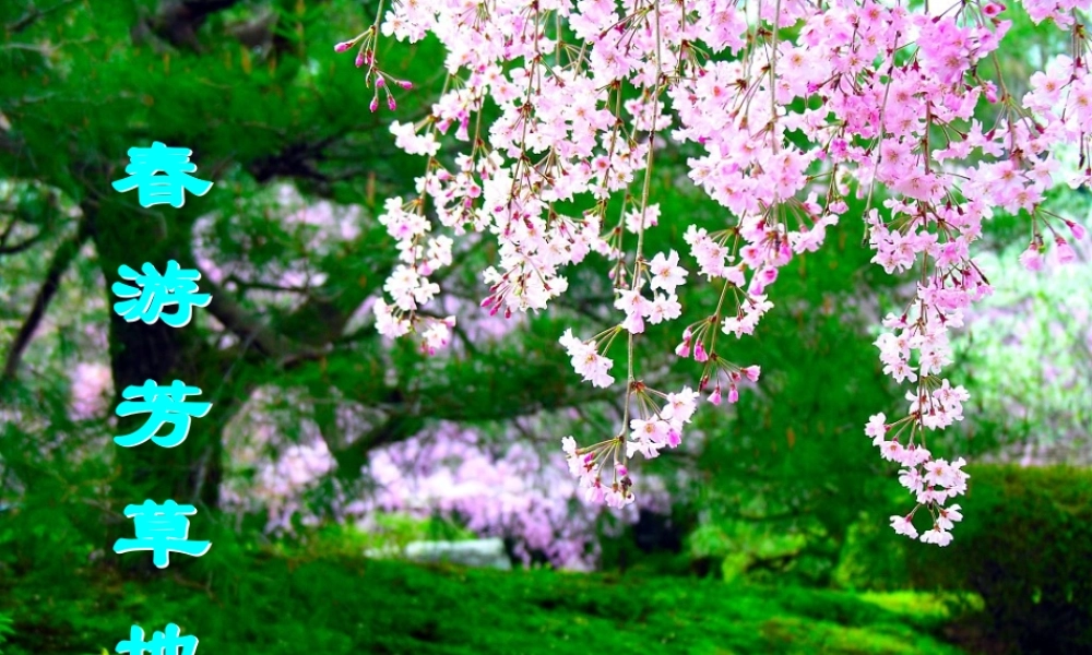 济南的冬天优质课课件