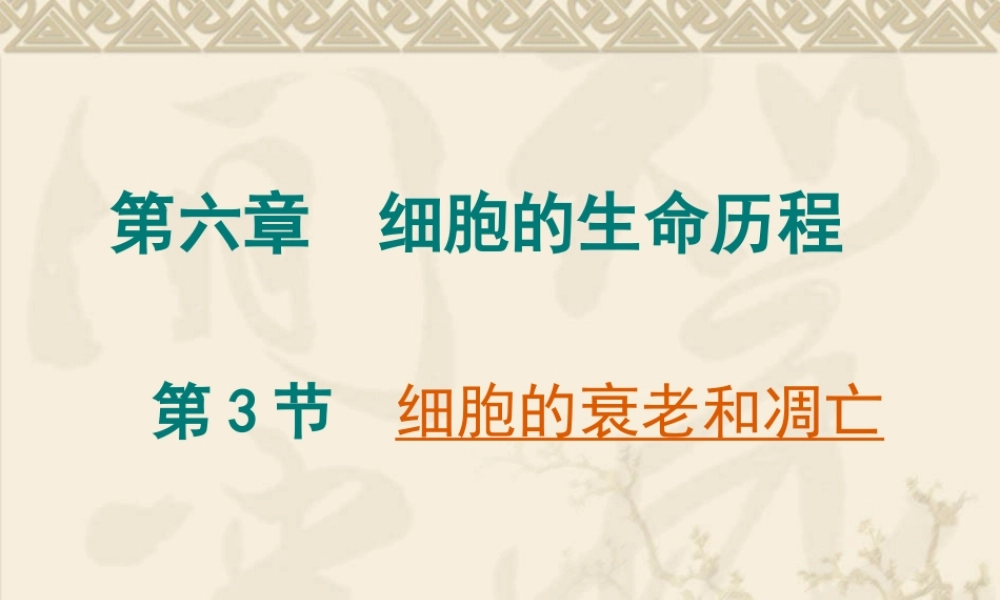 《细胞的衰老和凋亡》课件（2）