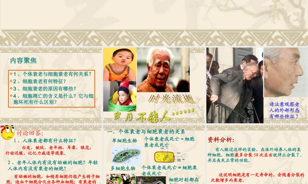 《细胞的衰老和凋亡》课件（2）