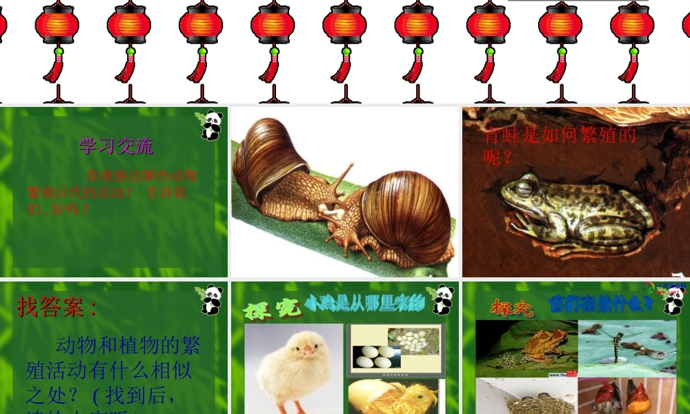 四年级科学下册《第二单元_动物的繁殖活动》