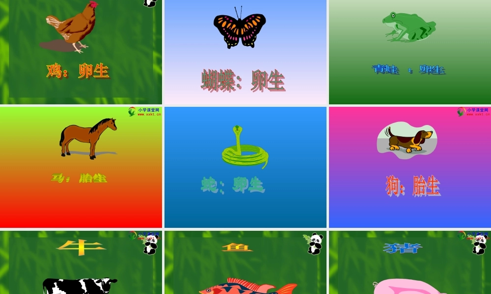 四年级科学下册《第二单元_动物的繁殖活动》