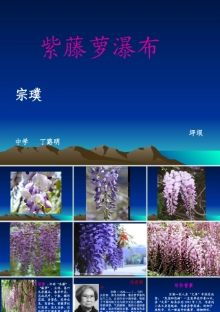 紫藤萝瀑布PPT