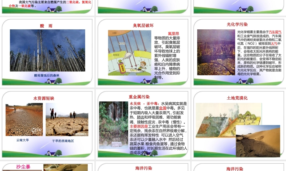 保护我们共同的家园