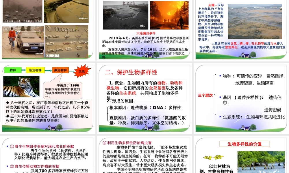 保护我们共同的家园