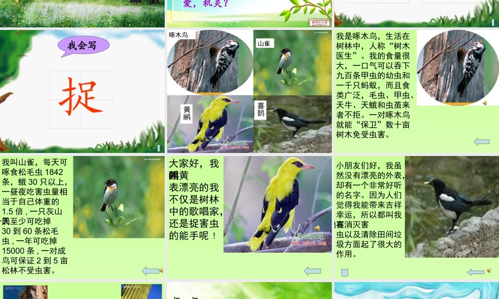 【红领巾真好】__课件