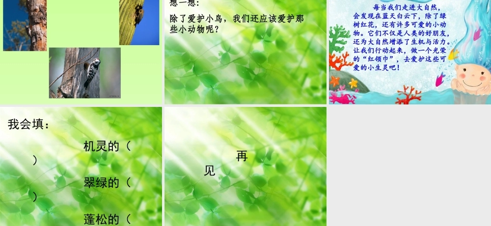 【红领巾真好】__课件