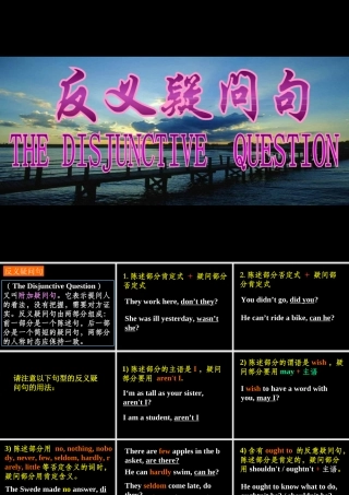 反义疑问句 (2)