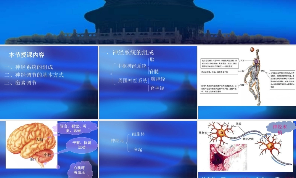 《人体生命活动的调节》复习课件