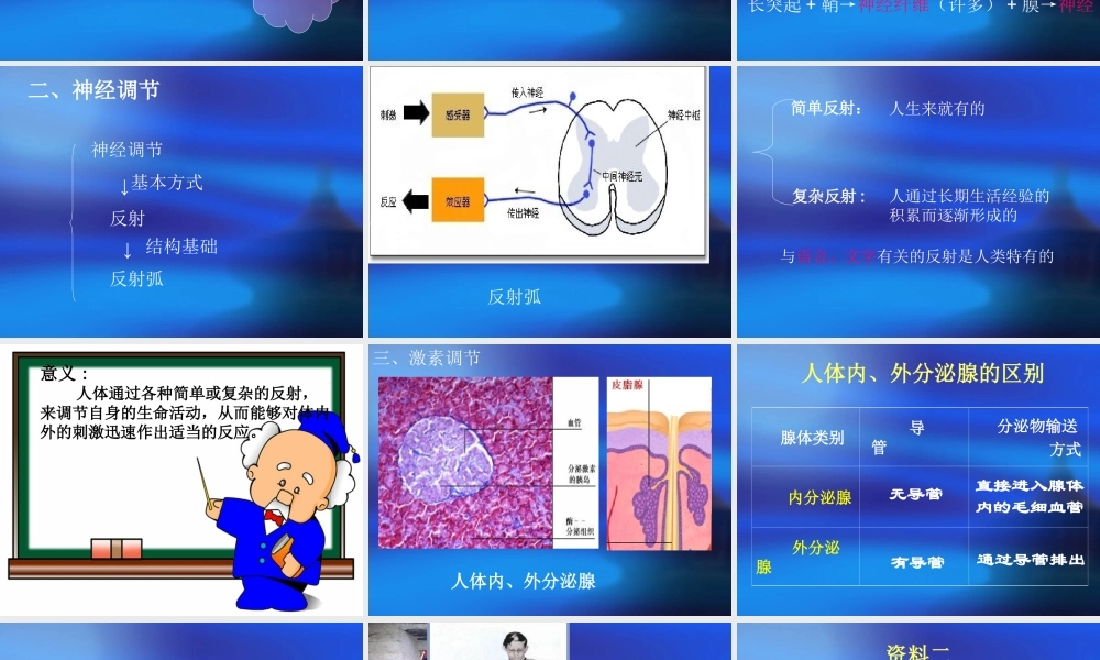 《人体生命活动的调节》复习课件