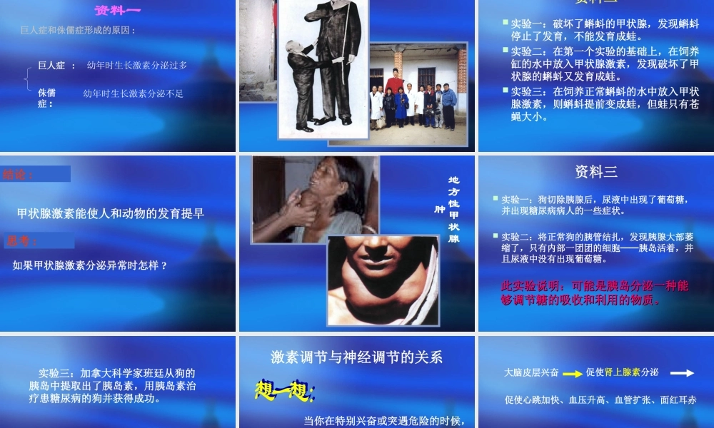 《人体生命活动的调节》复习课件
