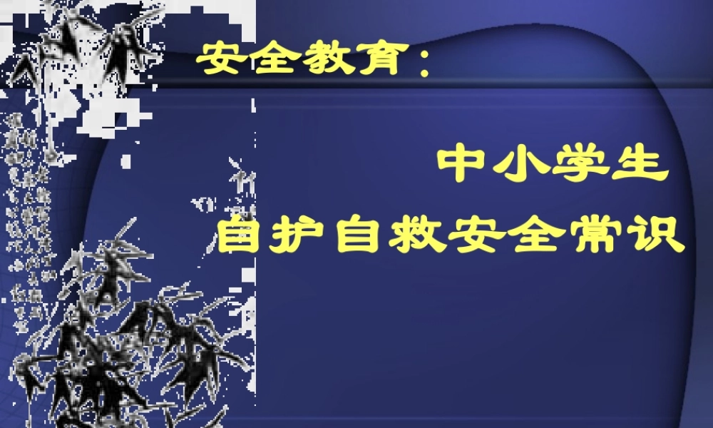 安全教育课件【PPT】