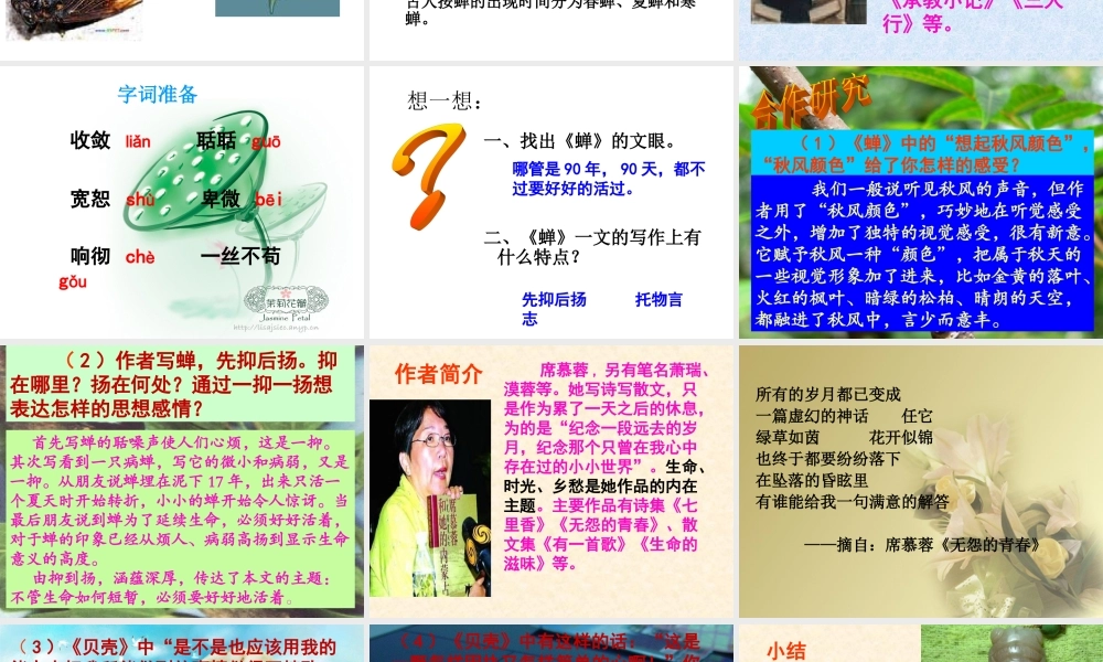 课短文两篇蝉贝壳 