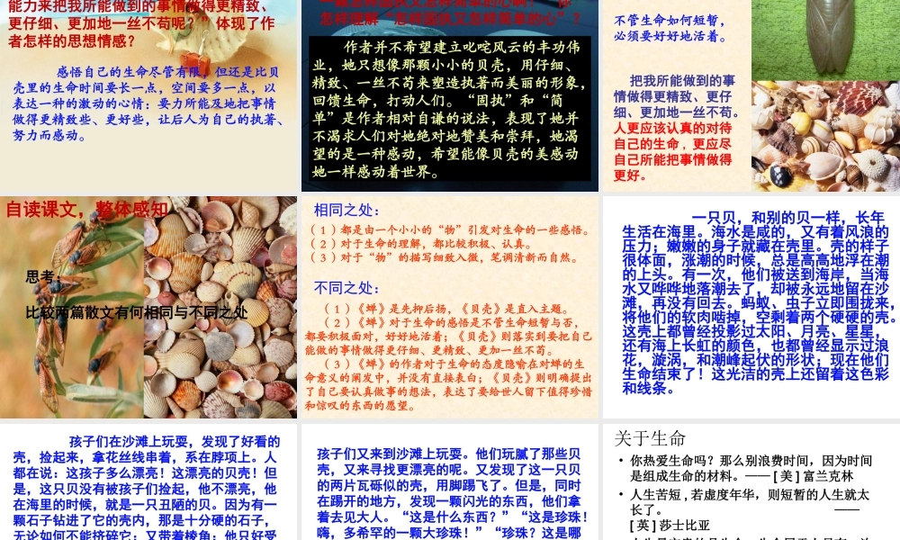 课短文两篇蝉贝壳 