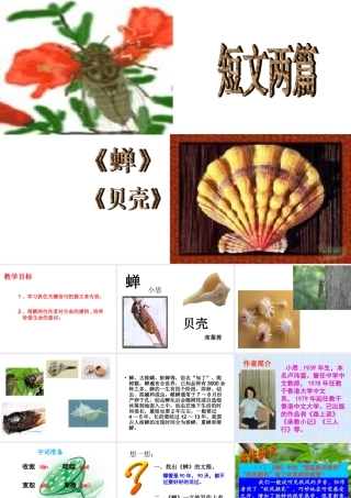 课短文两篇蝉贝壳 