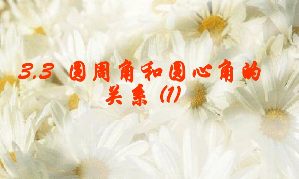 圆周角与圆心角的关系