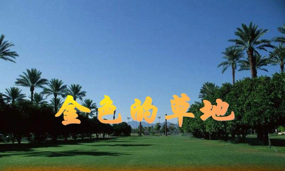 《金色的草地》 (3)