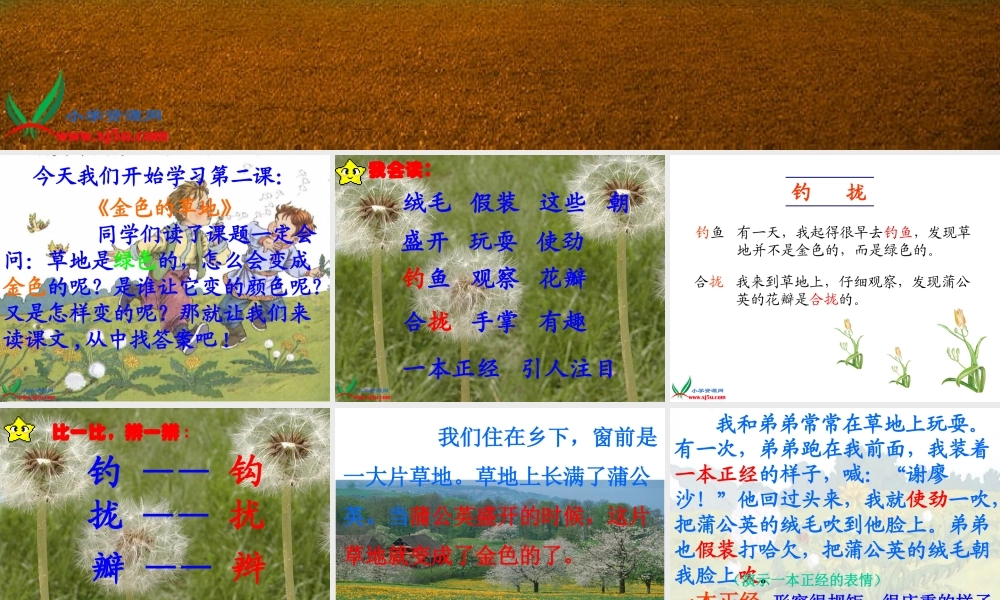 《金色的草地》 (3)