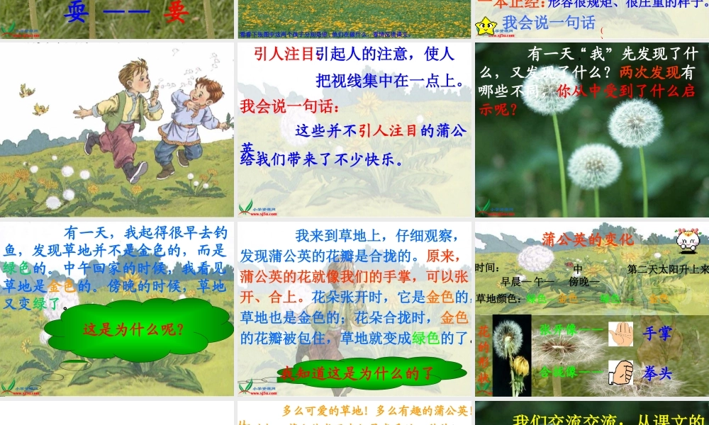 《金色的草地》 (3)