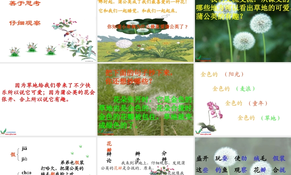 《金色的草地》 (3)